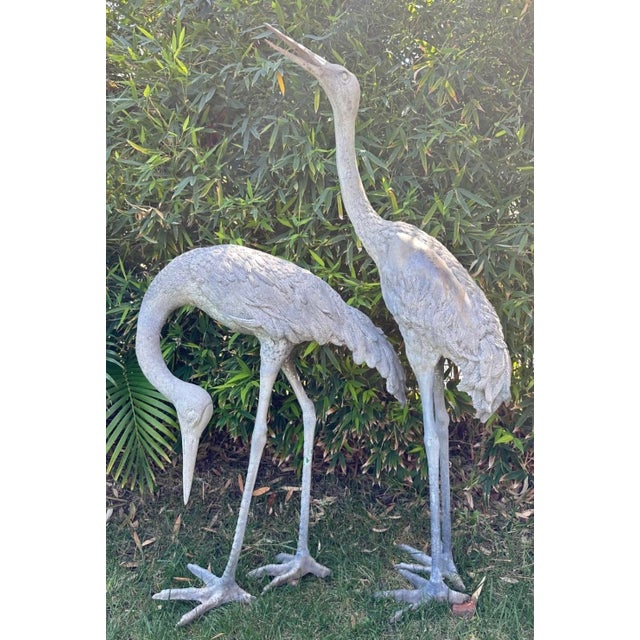 1920s Monumental Pair of Life-Size Bronze Crane Garden Sculptures With Verdigris... For Sale - Image 15 of 18