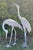 1920s Monumental Pair of Life-Size Bronze Crane Garden Sculptures With Verdigris... For Sale - Image 15 of 18