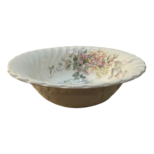 Mid 20th Century Myott Staffordshire Ceramic Serving Bowl in Jamestown Pattern.