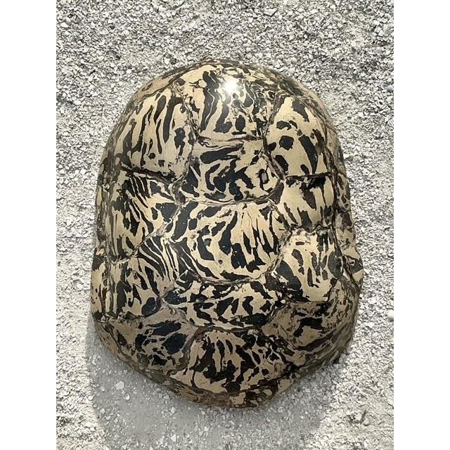 Vintage Boho Artisanal Pigmented Plaster Turtle Shell For Sale In West Palm - Image 6 of 12