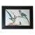 Late 20th Century Framed Print of Parrot Pair With Butterfly by Sarah Stone For Sale