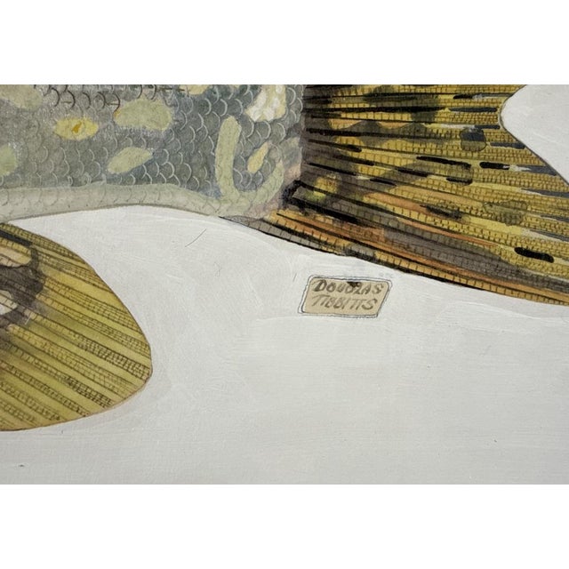DOUGLAS TIBBITTS New Hampshire, Contemporary Northern pike. Signed lower right "Douglas Tibbitts". This is hand painted...