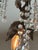 Elegant wrought iron chandelier has a rustic silver and bronze finish with a leaf and bud design. This light fixture is...
