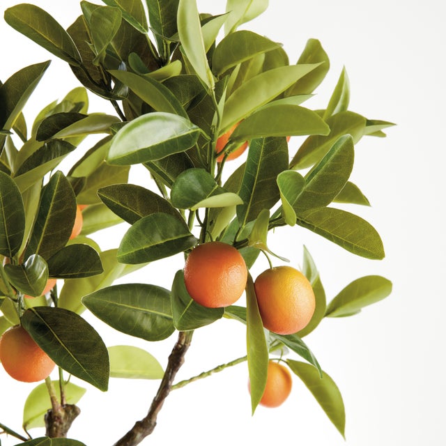 Made to look 100% realistic you, d swear this Kumquat Tree Dropin was potted this morning. Pair with your favorite...
