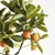 Made to look 100% realistic you, d swear this Kumquat Tree Dropin was potted this morning. Pair with your favorite...