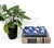 Charming set of eight silver-tone place card holders featuring four snails and four turtles. These delightful tabletop...