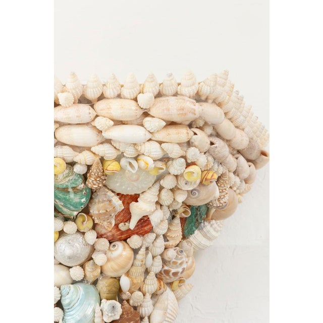 Shell Pair of Shell-Encrusted Wall Brackets For Sale - Image 7 of 7