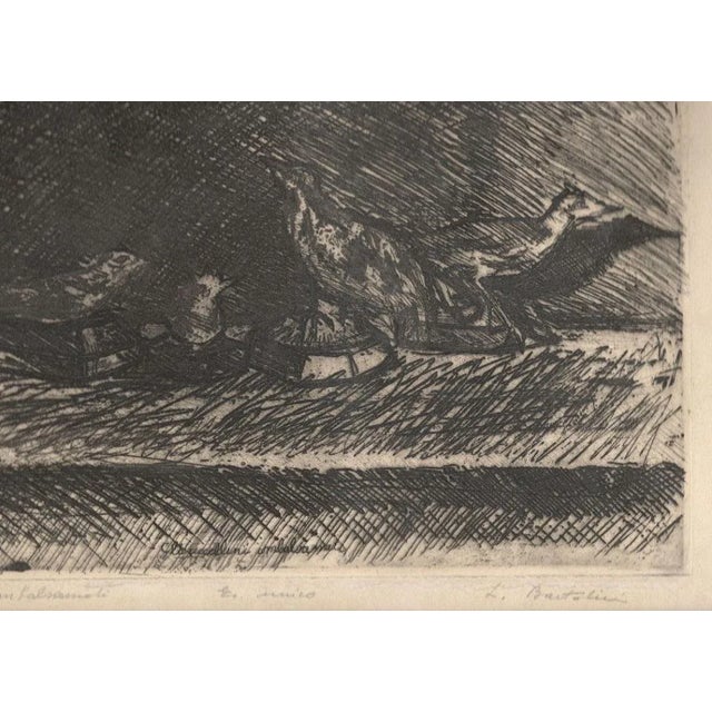 Image dimensions: 22.5 x 34.7 cm. Uccellini imbalsamati is an original artwork realized by the Italian artist and poet...