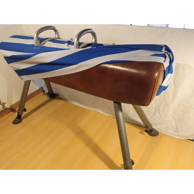 The horse is height-adjustable; the minimum height is 107 cm, but it can be raised several centimeters. The leather is in...