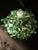 Vintage Italian Crystal Ceiling Lamp, 1960s For Sale - Image 17 of 18