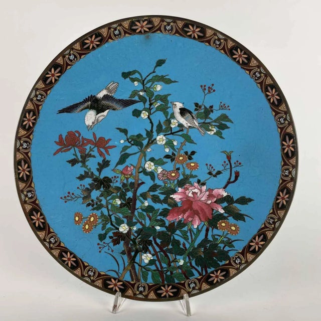 Blue Japanese Meiji Cloisonne Plates, 1868-1912, Set of 2 For Sale - Image 8 of 13