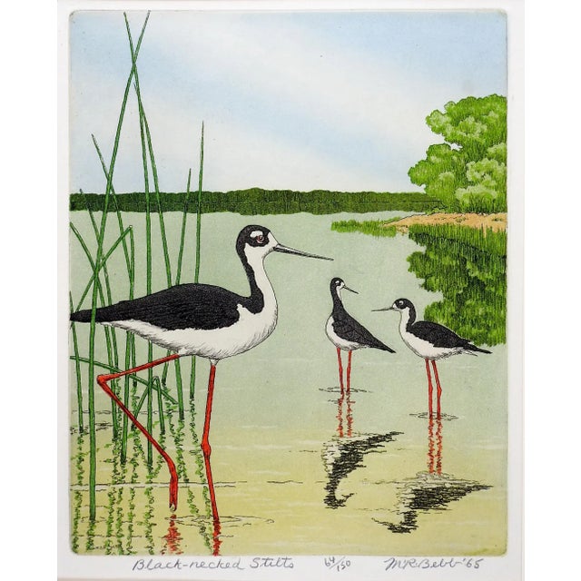 1960s Vintage 1965 Maurie Bebb Shore Bird Aquatint Etching For Sale - Image 5 of 5