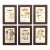 Set of 6 French Mushroom Fungi Offset Lithograph Prints Framed C. 1946 Botanical For Sale