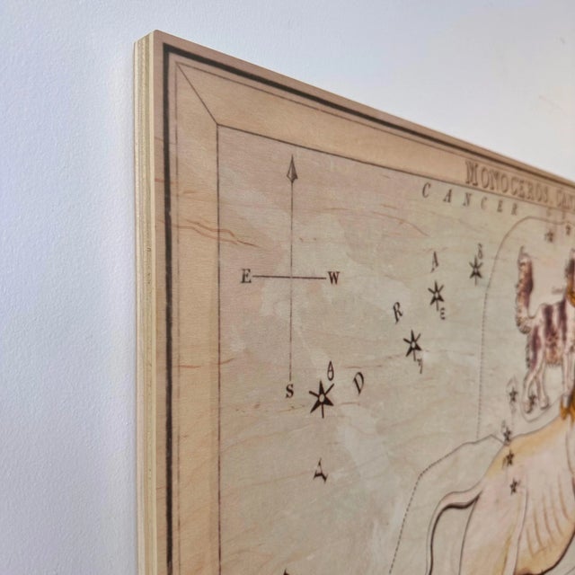 Wood Monoceros and Canis Minor Constellation Map on Board Artwork For Sale - Image 7 of 12