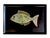 Mid 20th Century Mid 20th Century Couroc of Monterey Tray With Brass, Turquoise and Stone Inlay Fish For Sale - Image 5 of 15
