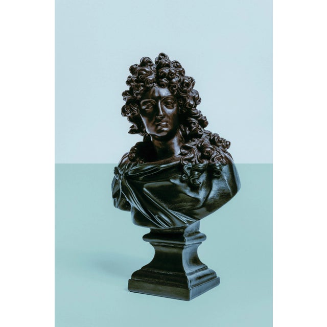 Guy Sargent, Louis XIV Pink, Archival Pigment Print For Sale - Image 6 of 6