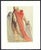 1963 Dalí Divine Comedy Engraving Purgatoire Chant 5 "Les Reproches De Virgile" (Vergil's Reproaches) For Sale