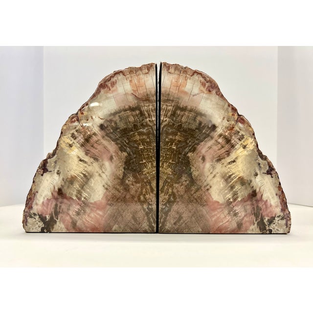 Pair of Petrified Wood Bookends – Large Bookmatched Fossil Wood Slabs – Organic Modern / MCM Shelf Decor For Sale - Image 9 of 9