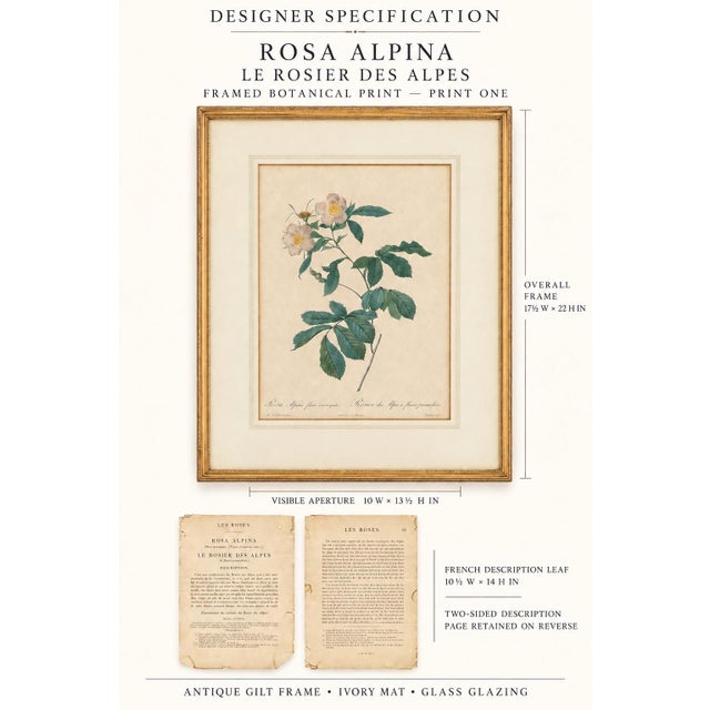Rustic European Pair of Early 19th-Century French Rosa Alpina Color Stipple Engravings With Original Description Leaves — After Pierre-Joseph Redouté For Sale - Image 3 of 7