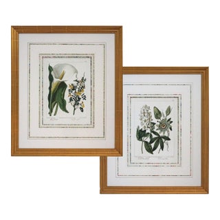 Late 20th Century Pair of Gilt-Framed Large Botanical Prints: Calla Lily & Passion Flower For Sale