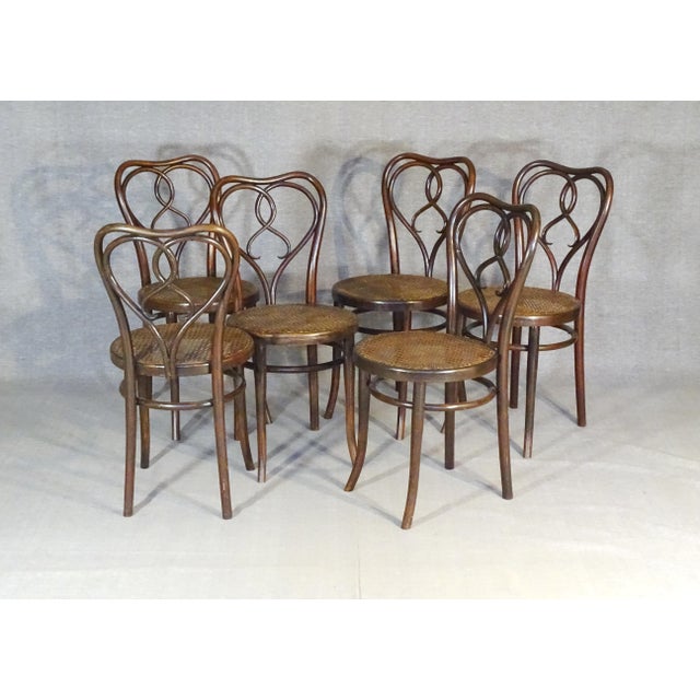 Art Nouveau New York Chairs by Michael Thonet for Gebrüder Thonet, 1925, Set of 6 For Sale - Image 10 of 15