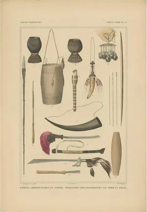 Temminck, Print Weapons and Tools of Timor and Solor Indonesia, 1840, Paper