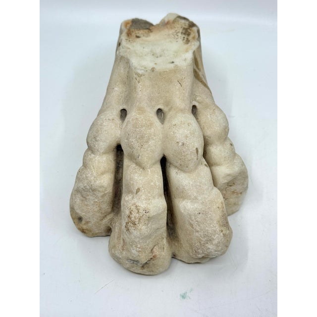 Antique Classical Marble Stone Fragment Lions Claw For Sale - Image 16 of 16