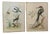 Johann Michael Seligmann, The Black-Bellied Green Hummingbird & The Kingfisher of Suriname with a Swallow's Tail, 1700s, Oil on Canvases, Set of 2 For Sale