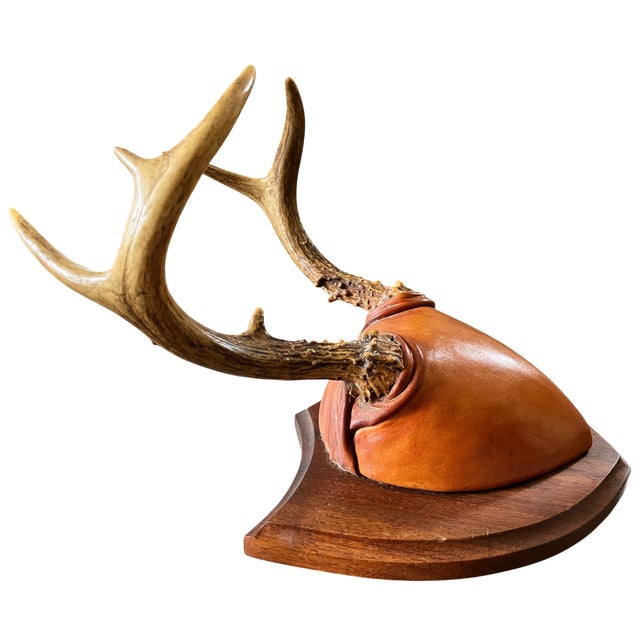 American 2001 Karl E. Hallberg “Night Hawk” Deer Antler & Hand-Tooled Leather Trophy Wall Mount For Sale - Image 3 of 7