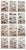 After Cpt. Brown, Big Cat Illustrations, 1835, Prints, Set of 12 For Sale - Image 14 of 14