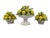 Vintage Petite Italian Majolica Lemon Topiary Set of Three For Sale - Image 4 of 8