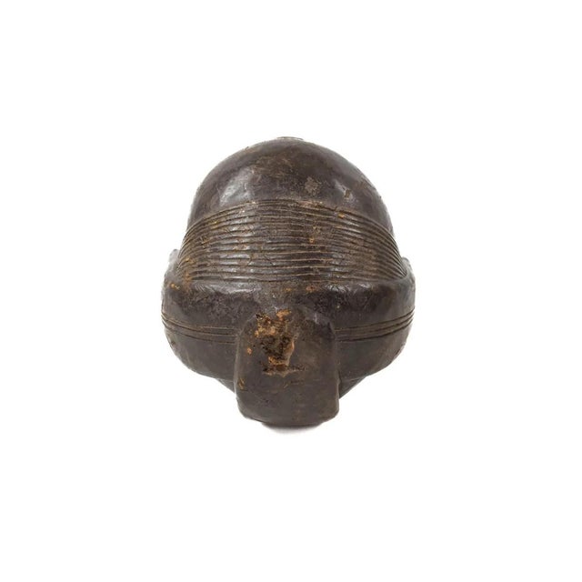 Early 20th Century Fang Reliquary Head Gabon For Sale - Image 4 of 9