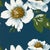 Harlequin Paeonia Wallpaper in Azurite/Meadow/Nectar - a Sample For Sale