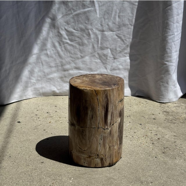 Beige Small Side Table in Beige-Grey and Petrified Wood, 1980s For Sale - Image 8 of 18
