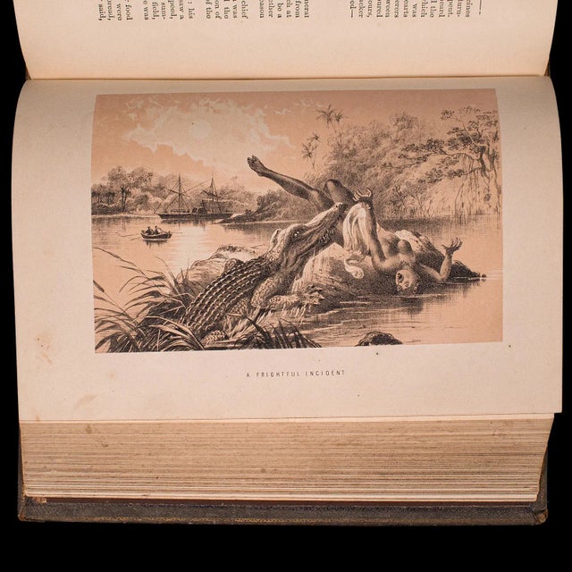 1875's Antique Life & Explorations of Dr Livingstone Book For Sale - Image 10 of 12