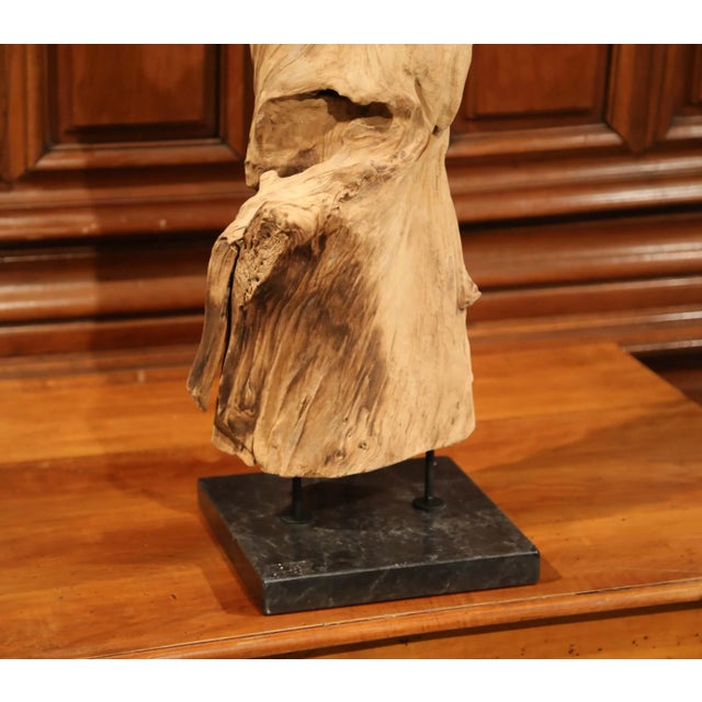 This beautiful, carved, driftwood sculpture was made from a single ficus tree. This important reclaimed tree root has a...