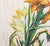 Salvador Dali "Daylily (Elephant)" Etching, 1972 For Sale In New York - Image 6 of 13