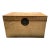 Late 19th Century Chinese Vellum / Parchment Trunk With Original Red Pigskin Interior & Key For Sale