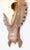1950s Black Forest Roe Deer Antlers Hunting Trophy 1950 Mount For Sale - Image 5 of 7