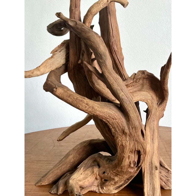 Vintage Boho Driftwood Lamp For Sale - Image 9 of 9