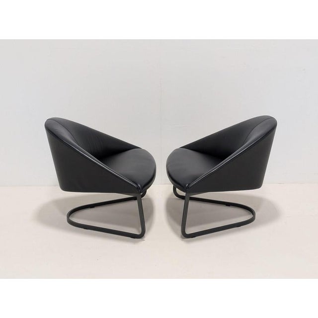 Colina M Armchairs from Arper, Set of 2 For Sale - Image 9 of 13