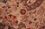 1990s Shabby Chic 1990's Pak-Persian Taupe/Blue Wool Rug - 6'2'' X 9'3'' For Sale - Image 5 of 9