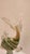 Green Mid 20th Century Murano Style Art Glass Fish Sculpture For Sale - Image 8 of 9