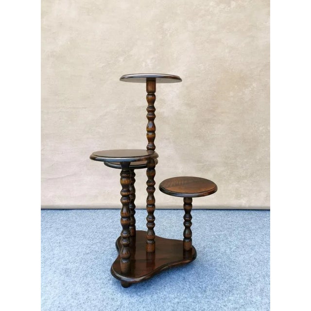 Wood Vintage 4-Arm Plant Stands in Oak, Germany, 1940 / 50s For Sale - Image 7 of 12