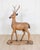 Italian 20th Century Life-Size Walnut Deer Sculpture For Sale - Image 12 of 12