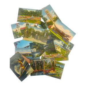 Large Collection of Vintage Florida Postcards
