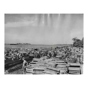 1943 World War II Soldiers Papua New Guinea Photograph