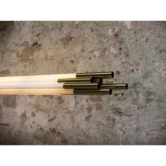 Medium Horizontal Org Pendant Lamp by Sebastian Summa For Sale - Image 4 of 8