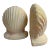 Vintage Palm Beach Style Plaster Clam Shell Bookends - a Pair For Sale