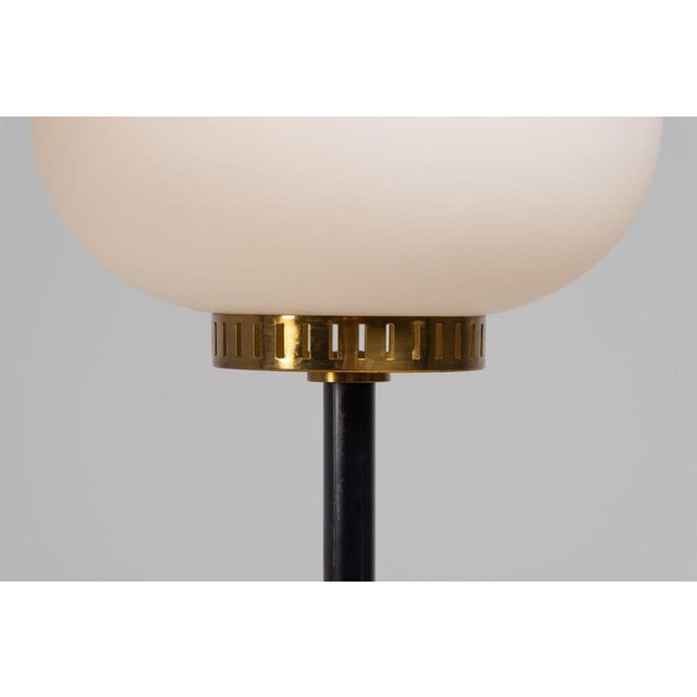 Black Standard Floor Lamp by Bruno Gatta for Stilnovo, 1951 For Sale - Image 8 of 15